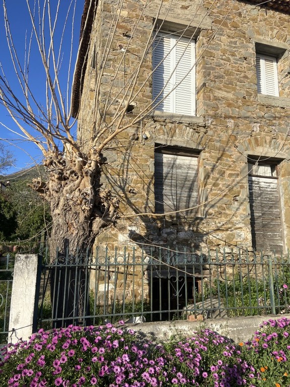 Μονοκατοικία 200 τ.μ. προς πώληση, Δεσύλλας