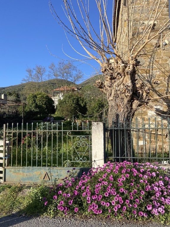 Μονοκατοικία 200 τ.μ. προς πώληση, Δεσύλλας