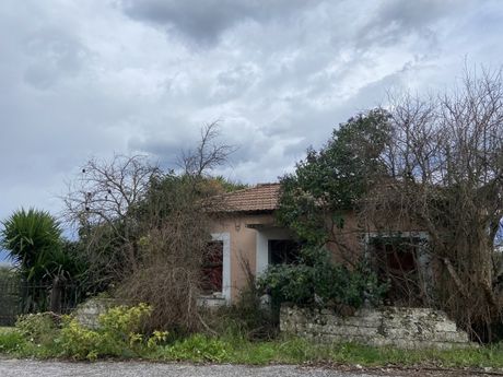 Μονοκατοικία 100τ.μ. για πώληση-Μελιγαλά