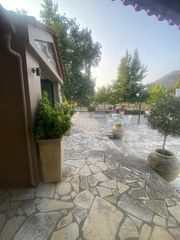 Αίθουσα 540 τ.μ. για πώληση, Μεσσηνία, Αρφαρά-thumb-17