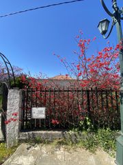 Μονοκατοικία 160 τ.μ. πρός πώληση, Μεσσηνία, Οιχαλία-thumb-1
