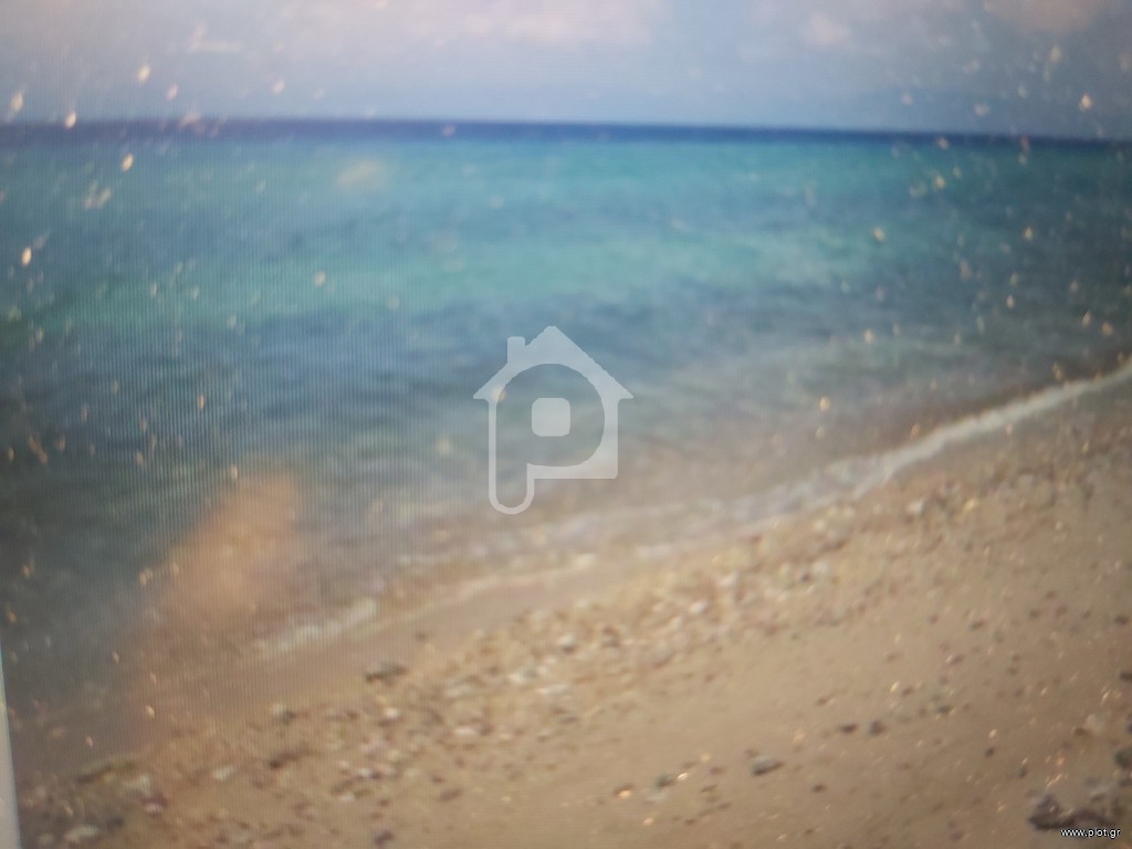Αγροτεμάχια 1.170 τ.μ. προς πώληση, Πορτοχέλι