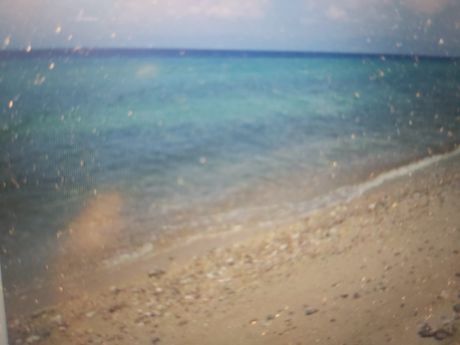 Αγροτεμάχια 1.170 τ.μ. προς πώληση