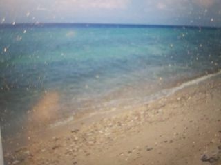 Αγροτεμάχια 1.170 τ.μ. για πώληση