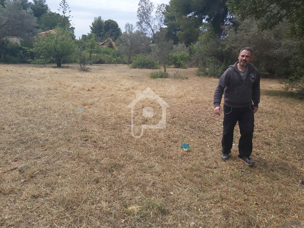 Αγροτεμάχια 1.170 τ.μ. προς πώληση, Πορτοχέλι