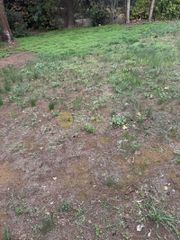 Land plot 1.100 sqm for sale