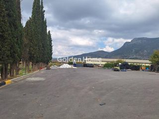 Οικόπεδο 13.600 τ.μ. για πώληση