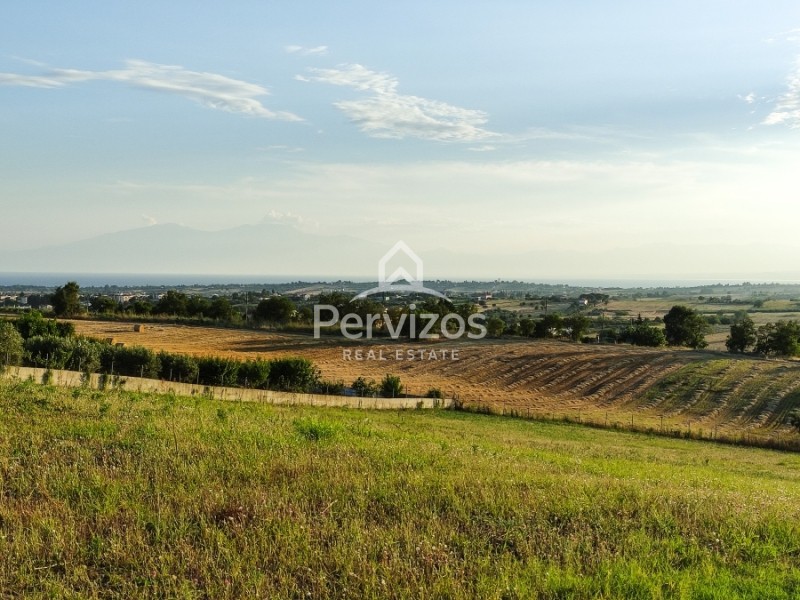 Αγροτεμάχια 7.300 τ.μ. πρός πώληση, Θεσσαλονίκη - Περιφ/Κοί Δήμοι, Επανομή