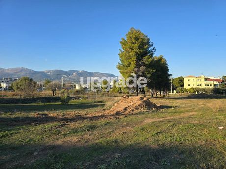 Οικόπεδο 555 τ.μ. για πώληση