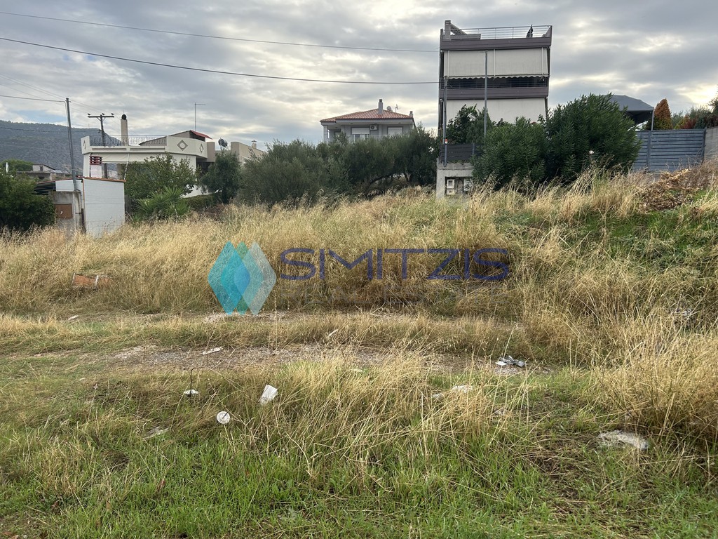 Οικόπεδο 651 τ.μ. προς πώληση, Έξω Παναγίτσα