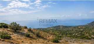 Αγροτεμάχια 2.693,12 τ.μ. για πώληση