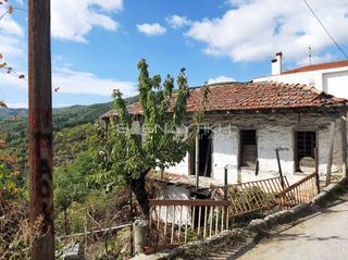 Μονοκατοικία 100 τ.μ. για πώληση