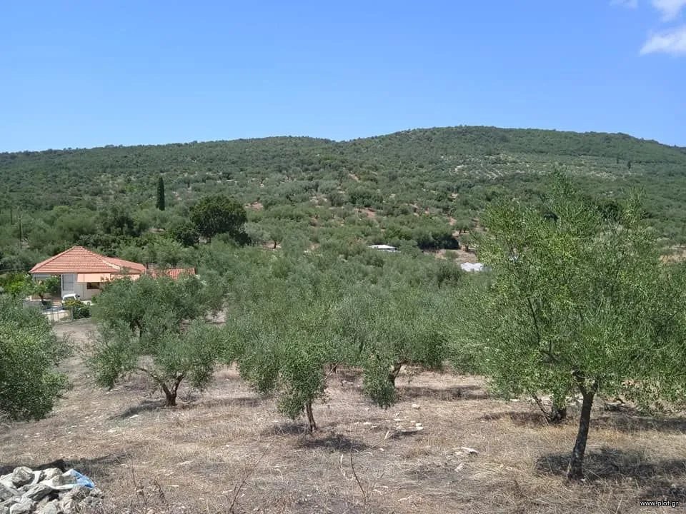 Μονοκατοικία 91 τ.μ. πρός πώληση, Μεσσηνία, Παπαφλέσσας