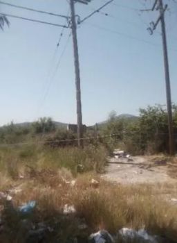 Αγροτεμάχια 7.489,41τ.μ. για πώληση-Μελιγαλά