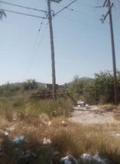 Αγροτεμάχια 7.489,41 τ.μ. για πώληση