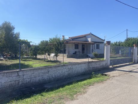 Μονοκατοικία 60τ.μ. για πώληση-Οιχαλία