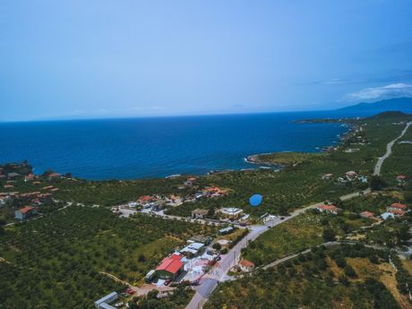 Οικόπεδο 2.292τ.μ. για πώληση-Λεύκτρος