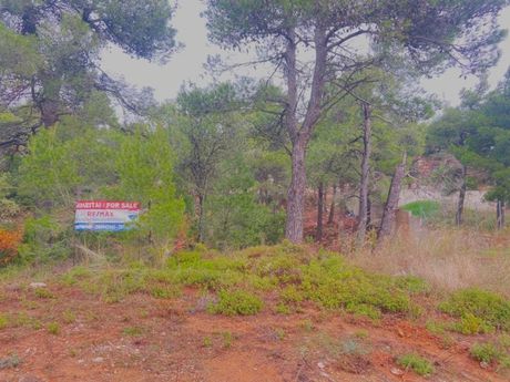 Οικόπεδο 2.351τ.μ. για πώληση-Αφίδνες