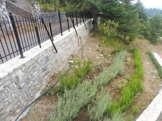 Βίλλα 133 τ.μ. για πώληση, Αρκαδία, Δημητσάνα-thumb-19