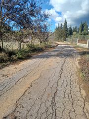 Αγροτεμάχια 8.778 τ.μ. για πώληση, Μεσσηνία, Αετού-thumb-5