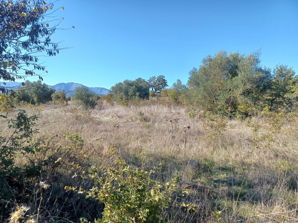 Αγροτεμάχια 8.778 τ.μ. προς πώληση, Αετός Μεσσηνίας