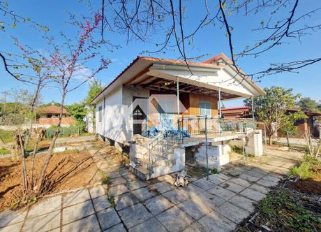 Μονοκατοικία 50τ.μ. για πώληση-Θερμαϊκός » Αγία τριάδα