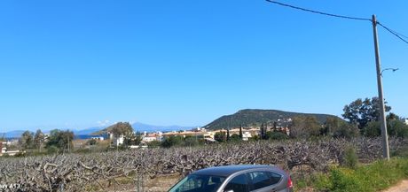 Οικόπεδο 250τ.μ. για πώληση-Μαρκόπουλο