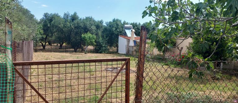 Οικόπεδο 325 τ.μ. για πώληση, Αθήνα - Ανατολικά Προάστια, Παιανία