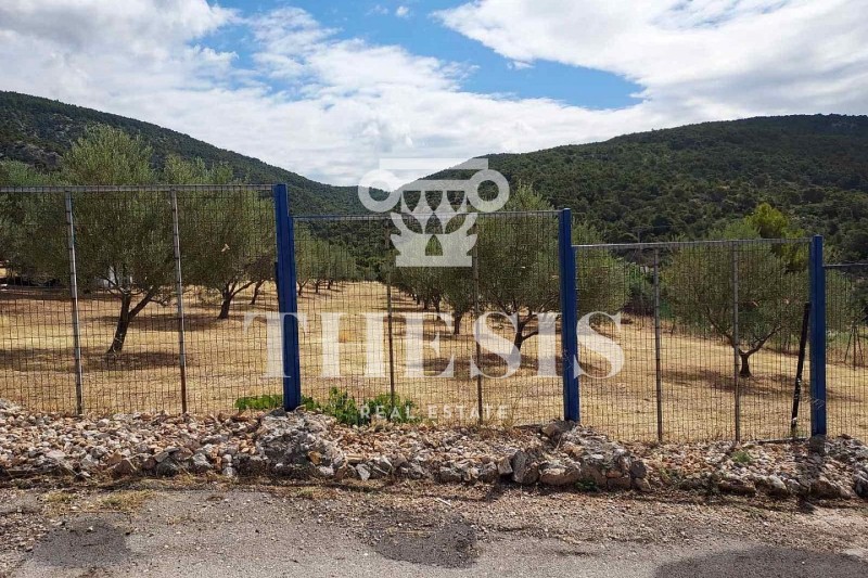 Αγροτεμάχια 8.000 τ.μ. προς πώληση, Πανόραμα Άνω Λιοσίων