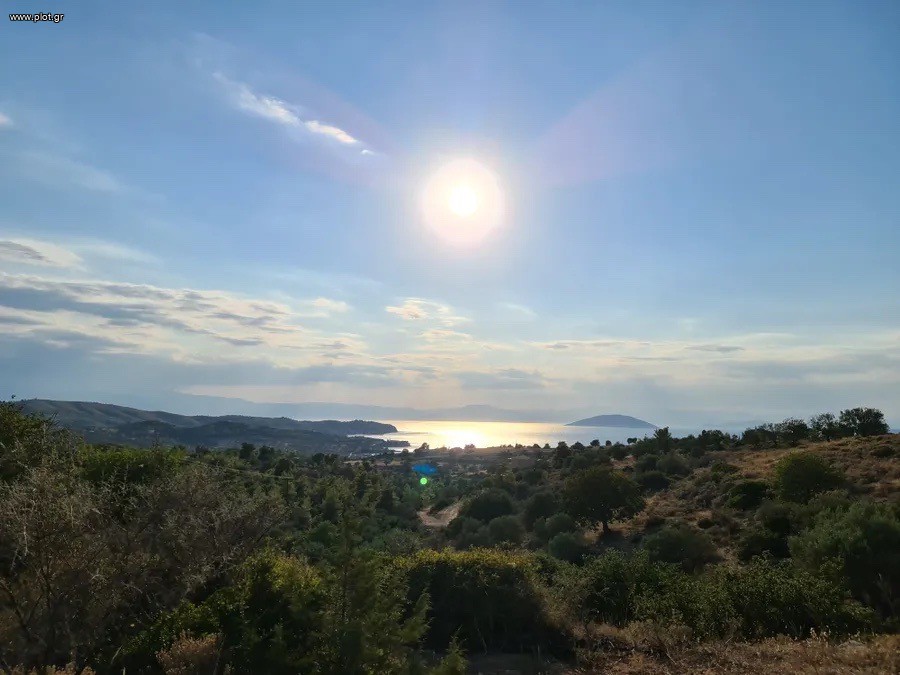 Αγροτεμάχια 19.000 τ.μ. πρός πώληση, Αργολίδα, Ερμιόνη