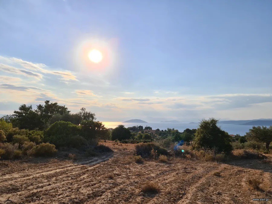 Αγροτεμάχια 19.000 τ.μ. πρός πώληση, Αργολίδα, Ερμιόνη
