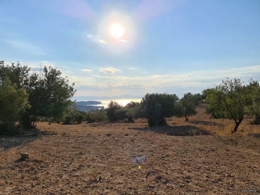 Αγροτεμάχια 19.000 τ.μ. πρός πώληση, Αργολίδα, Ερμιόνη