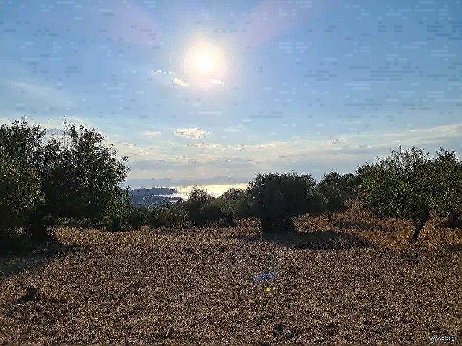 Αγροτεμάχια 19.000 τ.μ. πρός πώληση, Αργολίδα, Ερμιόνη
