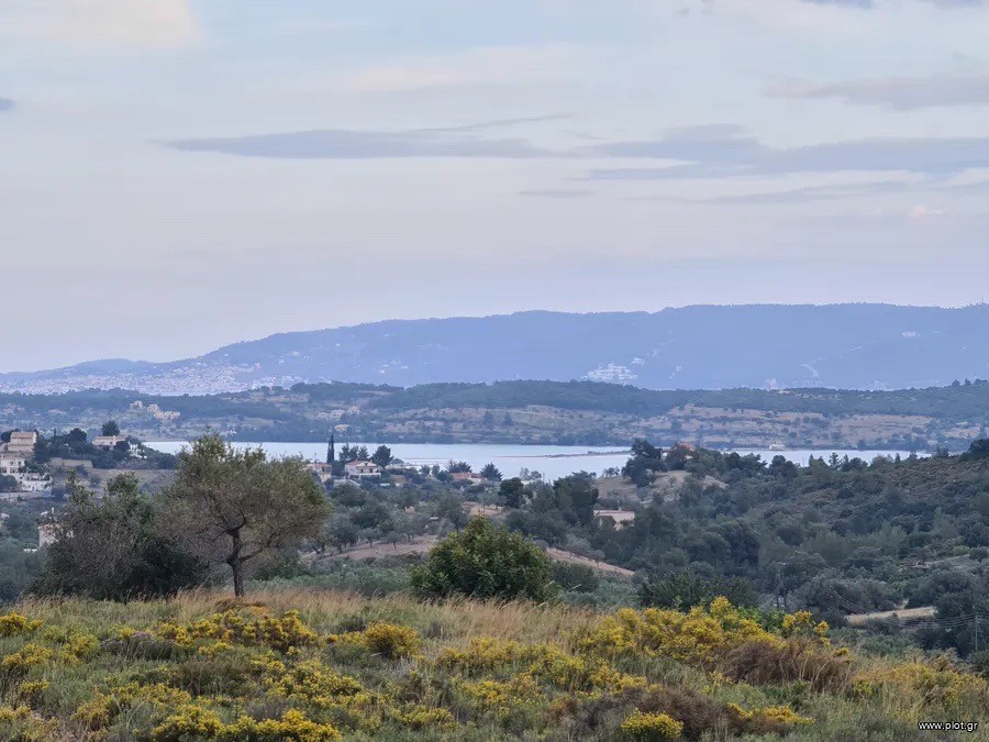 Αγροτεμάχια 25.000 τ.μ. πρός πώληση, Αργολίδα, Κρανίδι