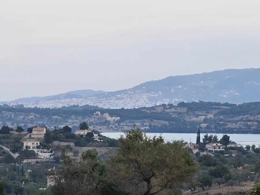 Αγροτεμάχια 25.000 τ.μ. πρός πώληση, Αργολίδα, Κρανίδι