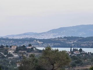 Αγροτεμάχια 25.000 τ.μ. πρός πώληση, Αργολίδα, Κρανίδι-thumb-1