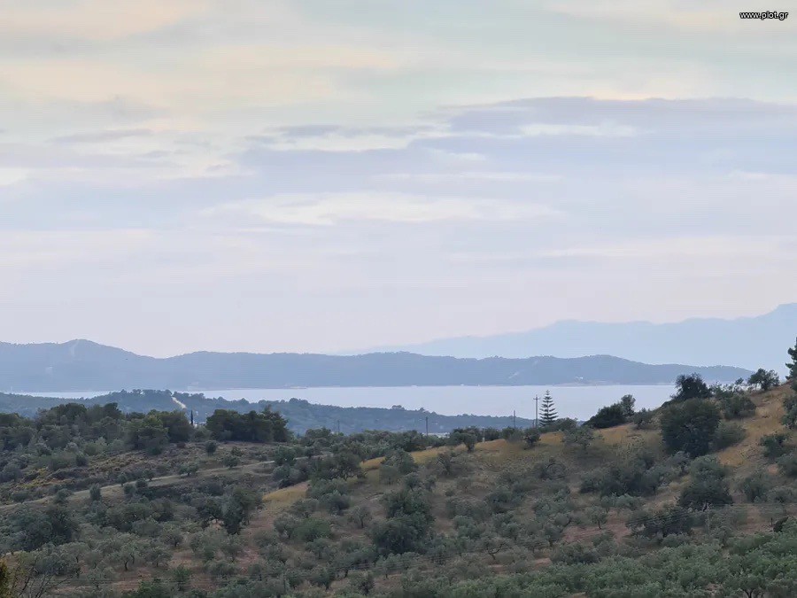 Αγροτεμάχια 25.000 τ.μ. πρός πώληση, Αργολίδα, Κρανίδι