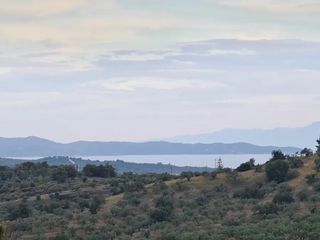Αγροτεμάχια 25.000 τ.μ. πρός πώληση, Αργολίδα, Κρανίδι-thumb-2