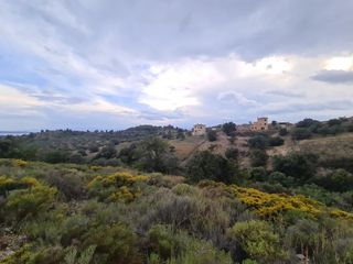 Αγροτεμάχια 25.000 τ.μ. πρός πώληση, Αργολίδα, Κρανίδι-thumb-9
