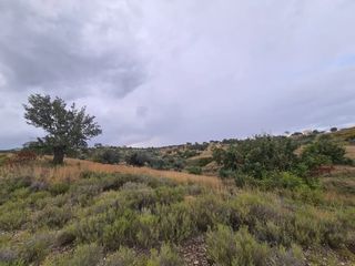 Αγροτεμάχια 25.000 τ.μ. πρός πώληση, Αργολίδα, Κρανίδι-thumb-10
