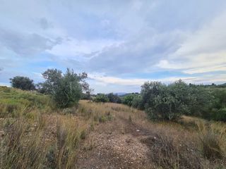 Αγροτεμάχια 25.000 τ.μ. πρός πώληση, Αργολίδα, Κρανίδι-thumb-13