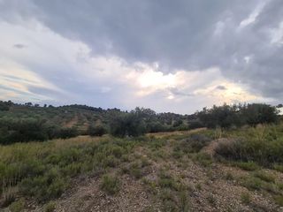 Αγροτεμάχια 25.000 τ.μ. πρός πώληση, Αργολίδα, Κρανίδι-thumb-15