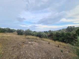 Αγροτεμάχια 25.000 τ.μ. πρός πώληση, Αργολίδα, Κρανίδι-thumb-20