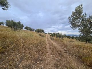 Αγροτεμάχια 25.000 τ.μ. πρός πώληση, Αργολίδα, Κρανίδι-thumb-23