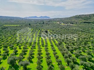 Μονοκατοικία 75 τ.μ. για πώληση, Μεσσηνία, Μεθώνη-thumb-5