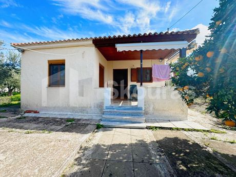 Μονοκατοικία 75τ.μ. για πώληση-Μεθώνη