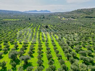 Μονοκατοικία 75 τ.μ. για πώληση, Μεσσηνία, Μεθώνη-thumb-9