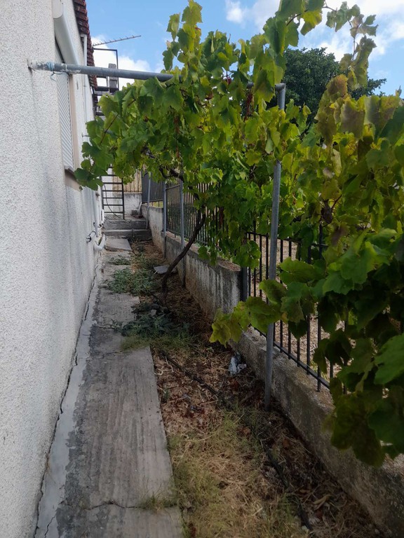 Μονοκατοικία 59,11 τ.μ. πρός πώληση, Εύβοια, Λίμνη
