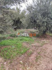 Οικόπεδο 437 τ.μ. για πώληση, Αχαΐα, Πάτρα-thumb-21
