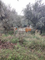 Οικόπεδο 437 τ.μ. για πώληση, Αχαΐα, Πάτρα-thumb-18